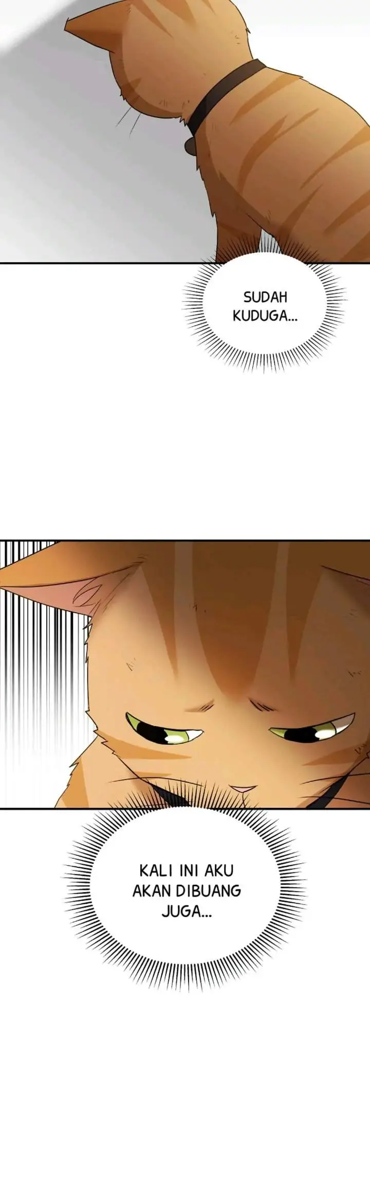 image-komik-hello-veterinarian-chapter-8-20/42