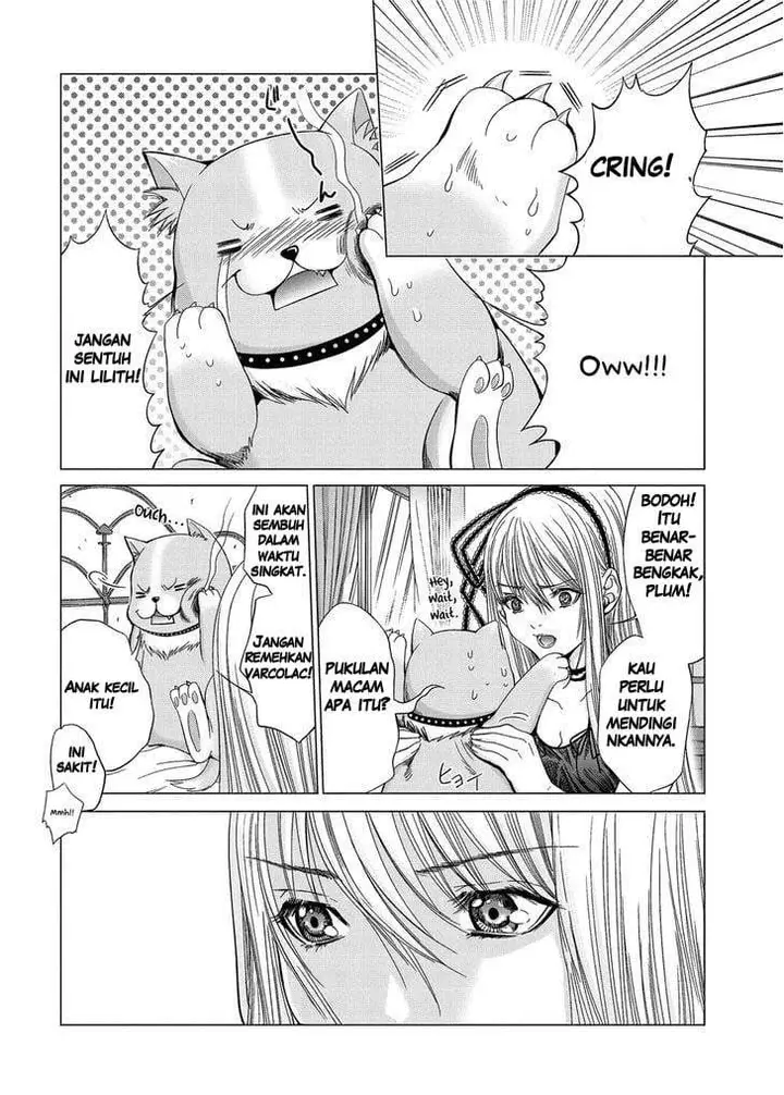 image-komik-holy-knight-chapter-10-8/21
