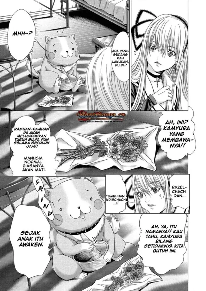 image-komik-holy-knight-chapter-12-12/23