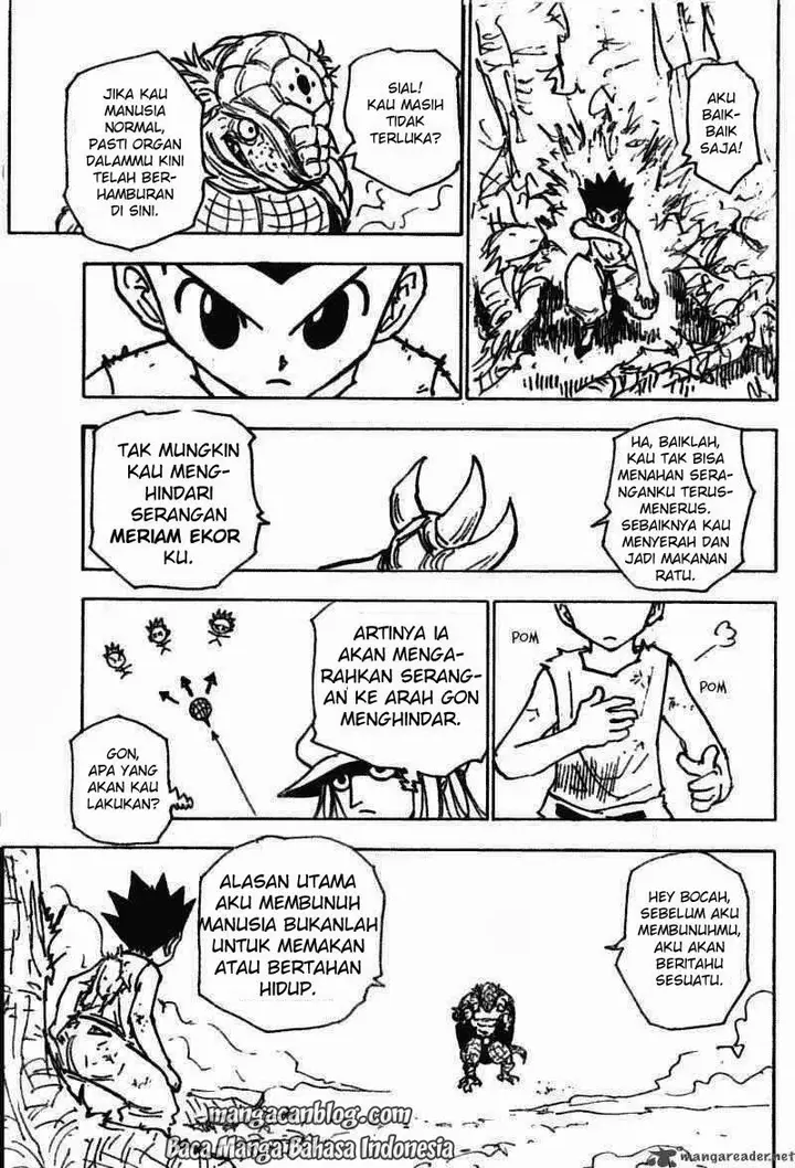 image-komik-hunter-x-hunter-chapter-195-8/15