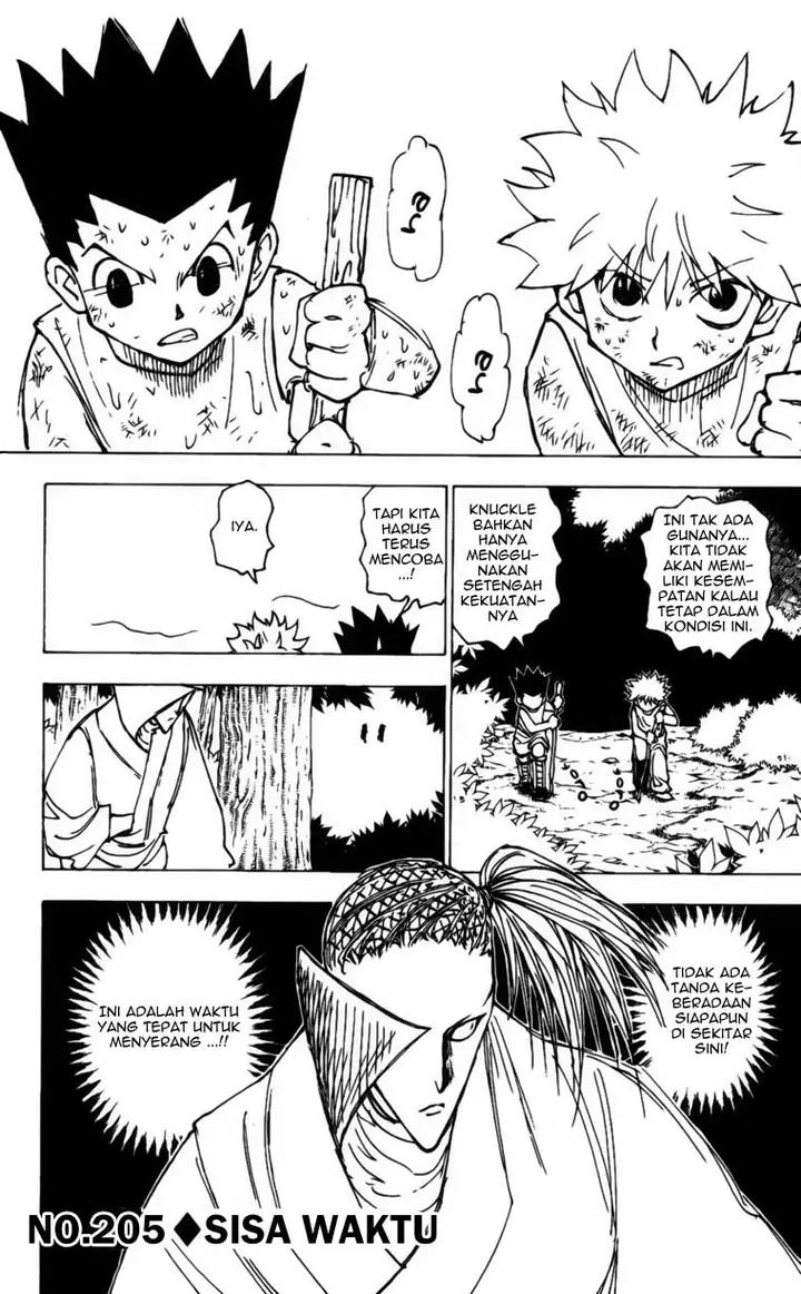 image-komik-hunter-x-hunter-chapter-205-0/15