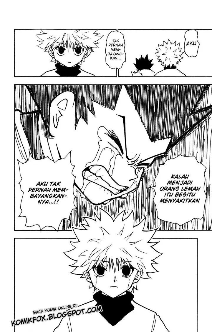 image-komik-hunter-x-hunter-chapter-214-13/15