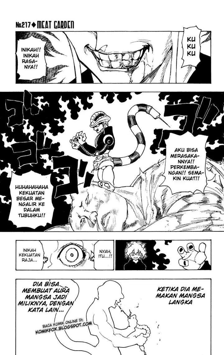 image-komik-hunter-x-hunter-chapter-217-0/15