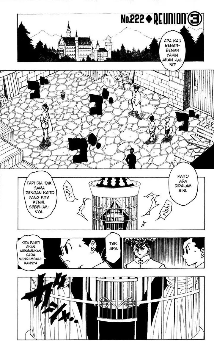 image-komik-hunter-x-hunter-chapter-222-0/15