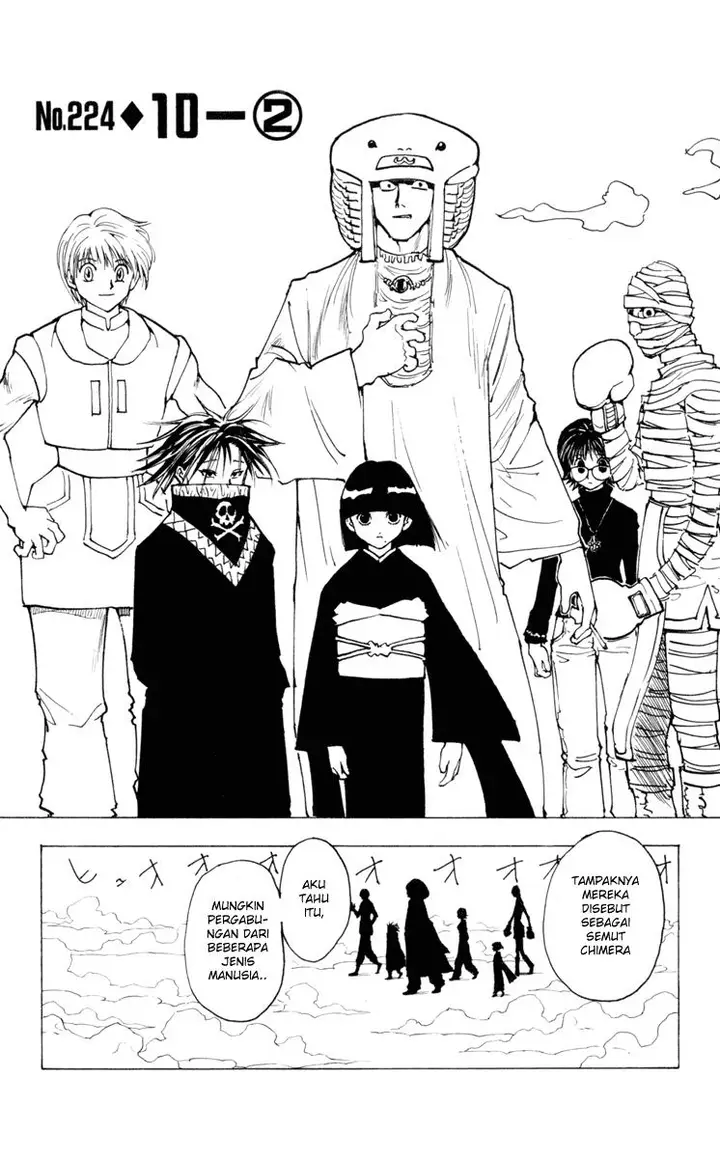 image-komik-hunter-x-hunter-chapter-224-3/14