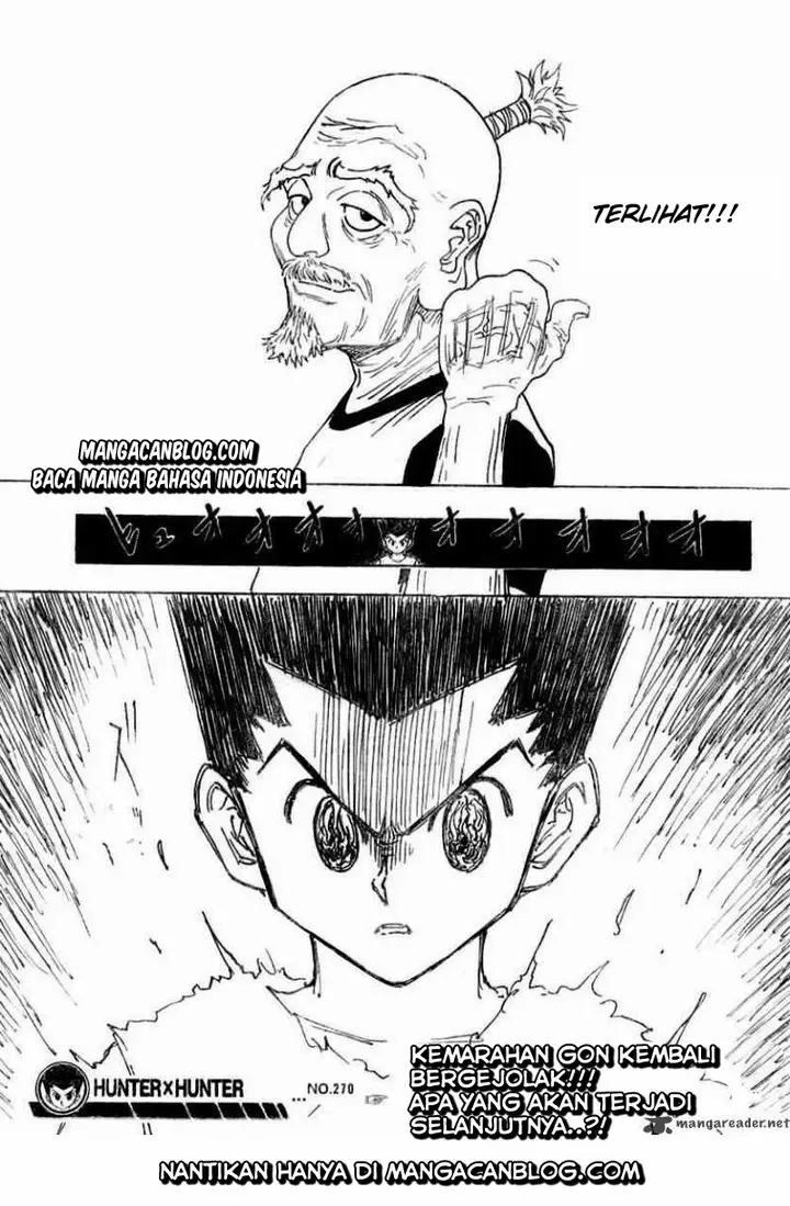 image-komik-hunter-x-hunter-chapter-270-17/18