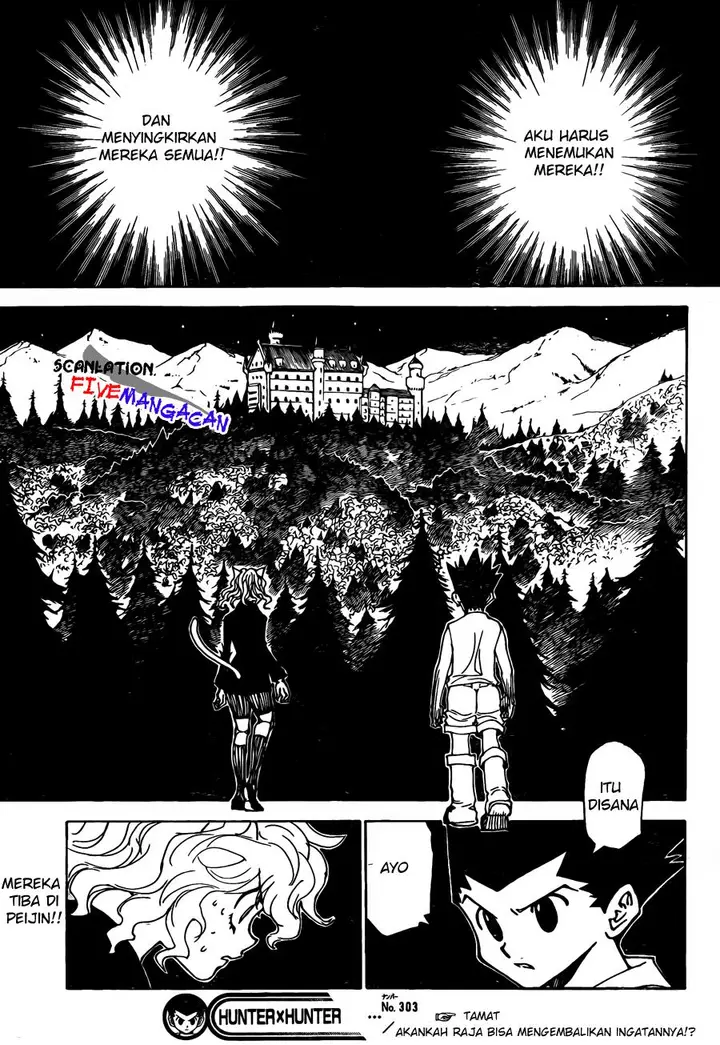 image-komik-hunter-x-hunter-chapter-303-10/19
