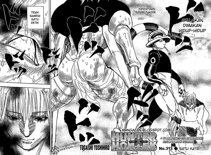 image-komik-hunter-x-hunter-chapter-313-2/16