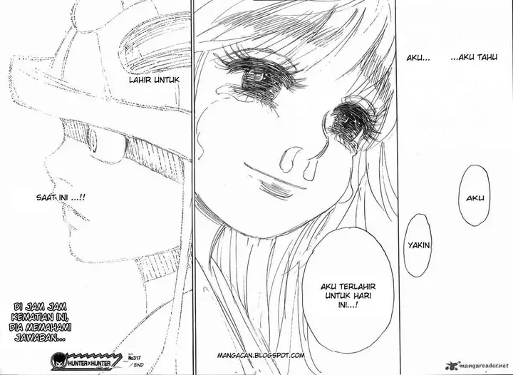 image-komik-hunter-x-hunter-chapter-317-17/20