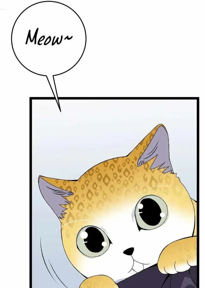 image-komik-i-copy-talents-chapter-47-48/74