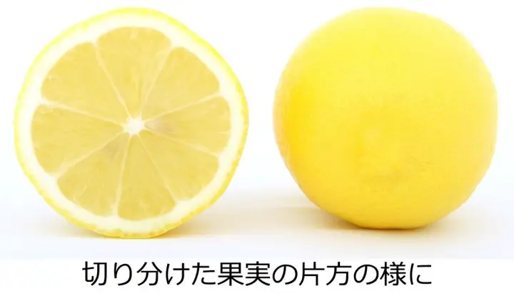 image-komik-i-had-always-loved-you-chapter-00-5/6