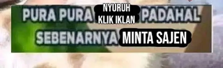 image-komik-i-really-dont-want-to-be-reborn-chapter-308-6/7