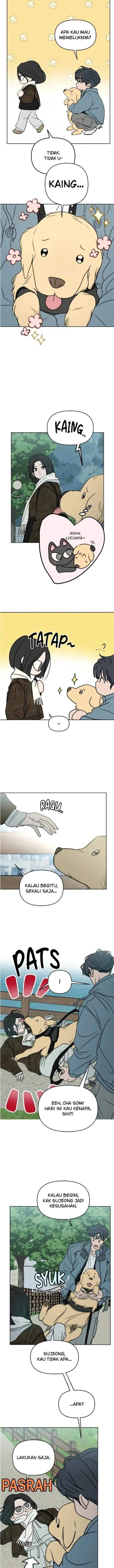 image-komik-i-want-to-trick-you-chapter-41-5/12