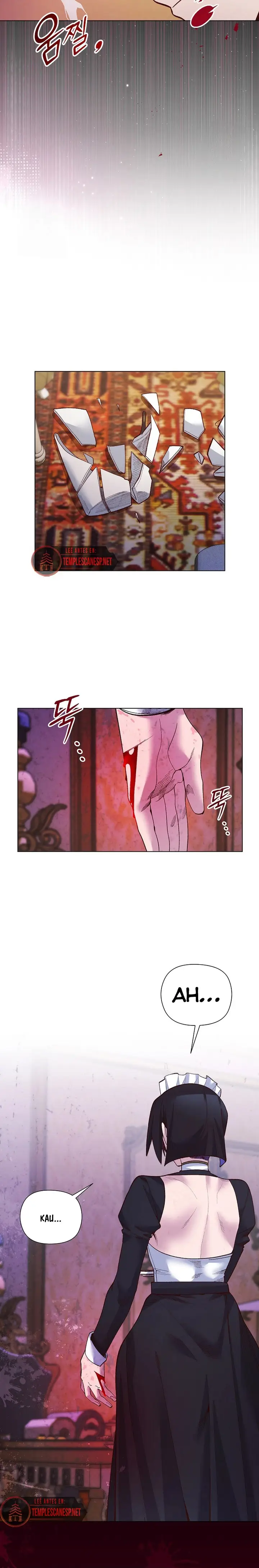 image-komik-i-will-protect-the-lady-chapter-30-14/17