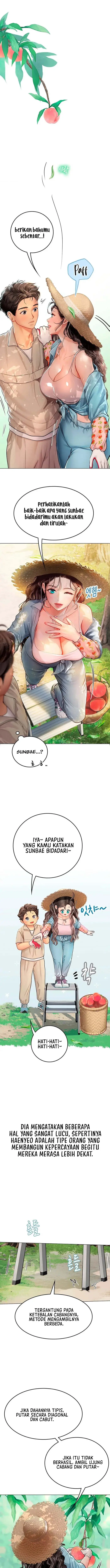 image-komik-intern-haenyeo-chapter-28-6/18