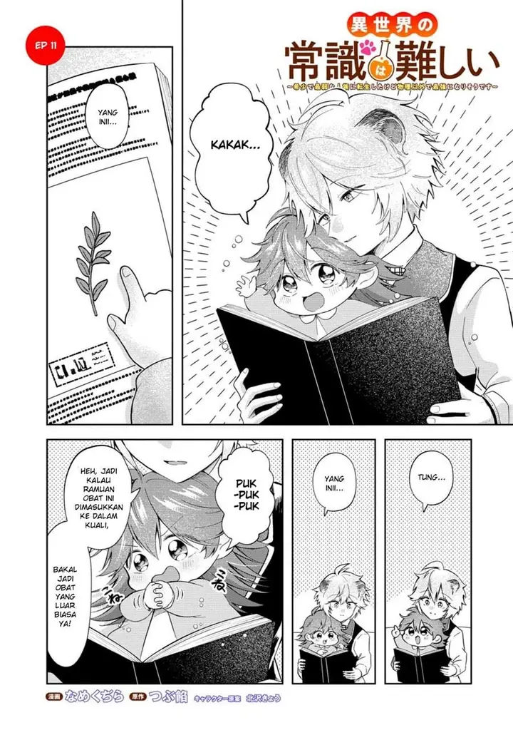 image-komik-isekai-no-joushiki-wa-muzukashii-kishou-de-saijaku-na-hitozoku-ni-tensei-shita-kedo-butsuri-igai-de-saikyou-ni-nari-sou-desu-chapter-11-0/20