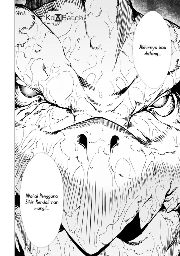 image-komik-isekai-wo-seigyo-mahou-de-kirihirake-chapter-17-22/24