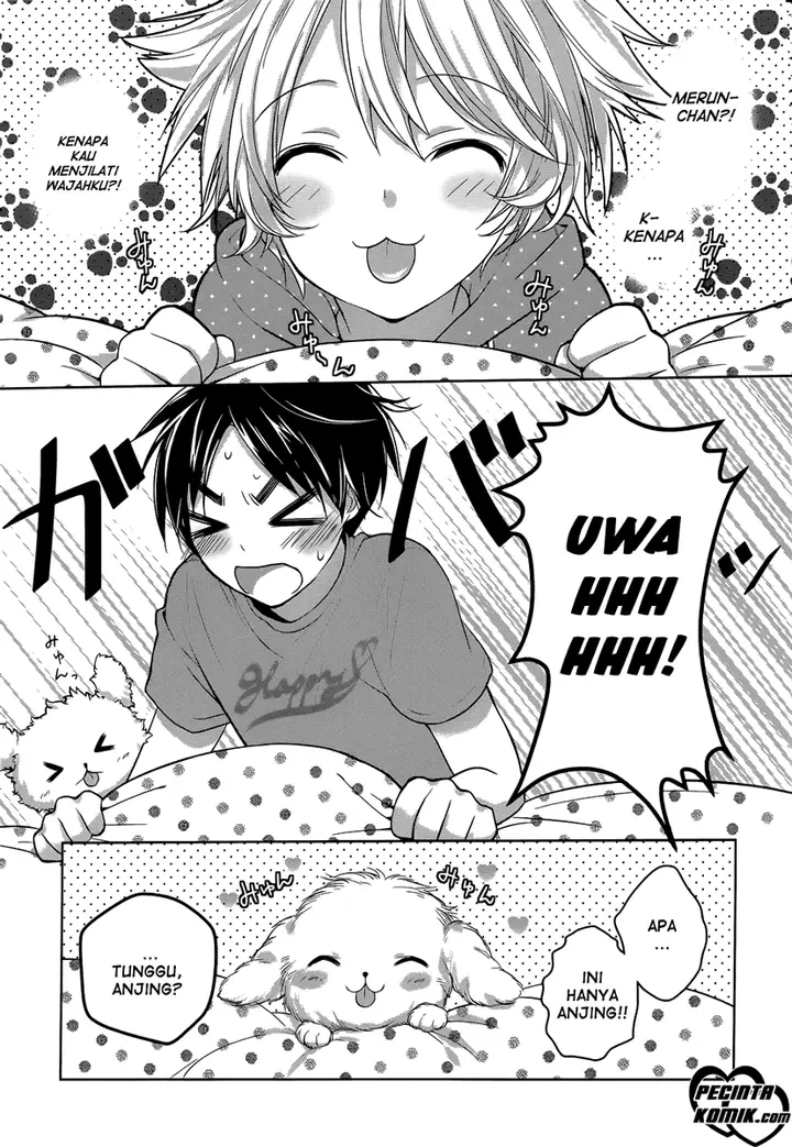 image-komik-itoshi-no-karin-chapter-1-24/26