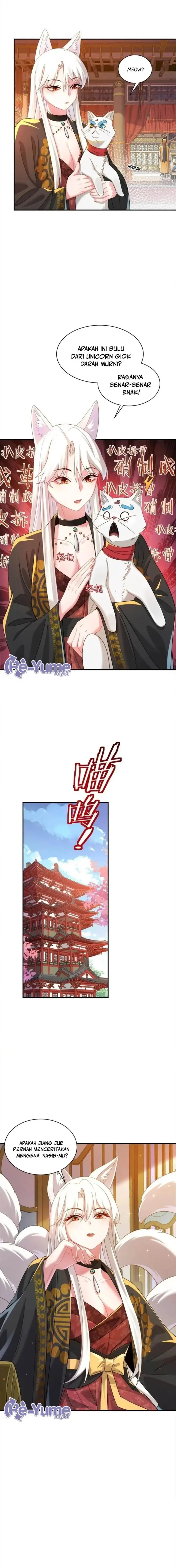 image-komik-its-just-fortune-telling-how-did-the-nine-tailed-demon-emperor-become-my-wife-chapter-21-11/16