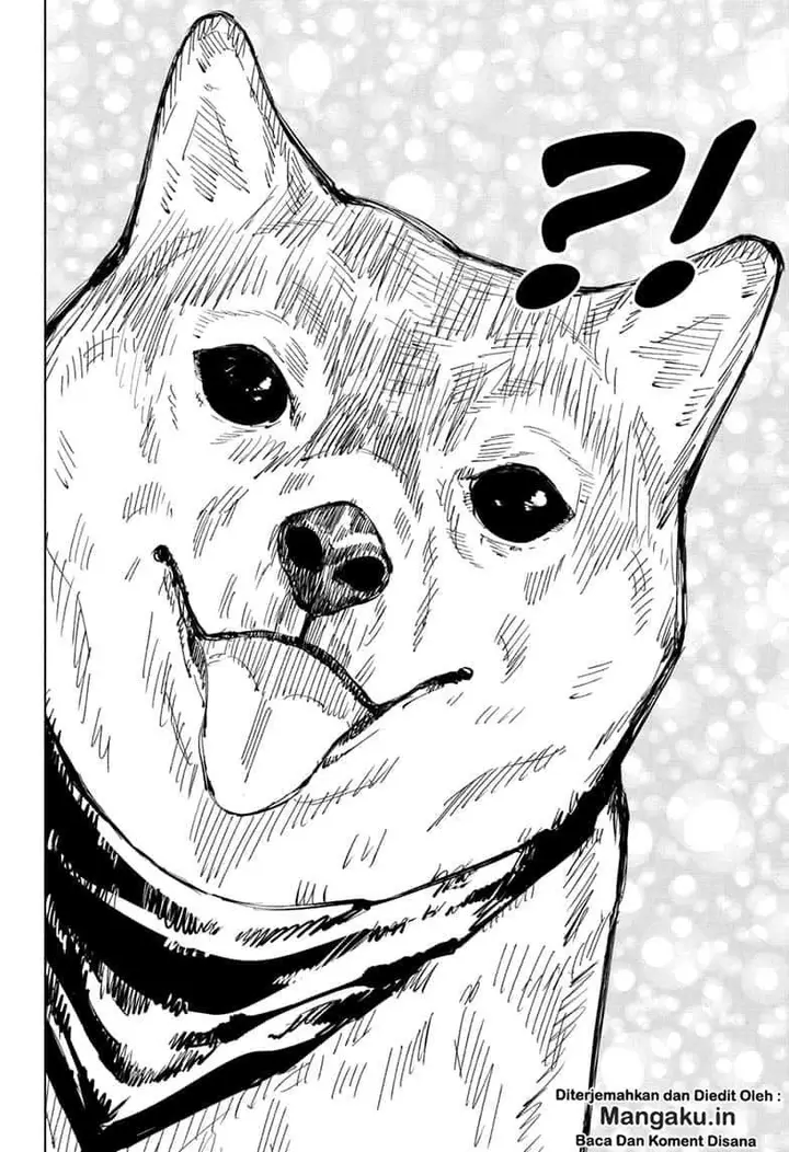 image-komik-jujutsu-kaisen-chapter-68-12/20