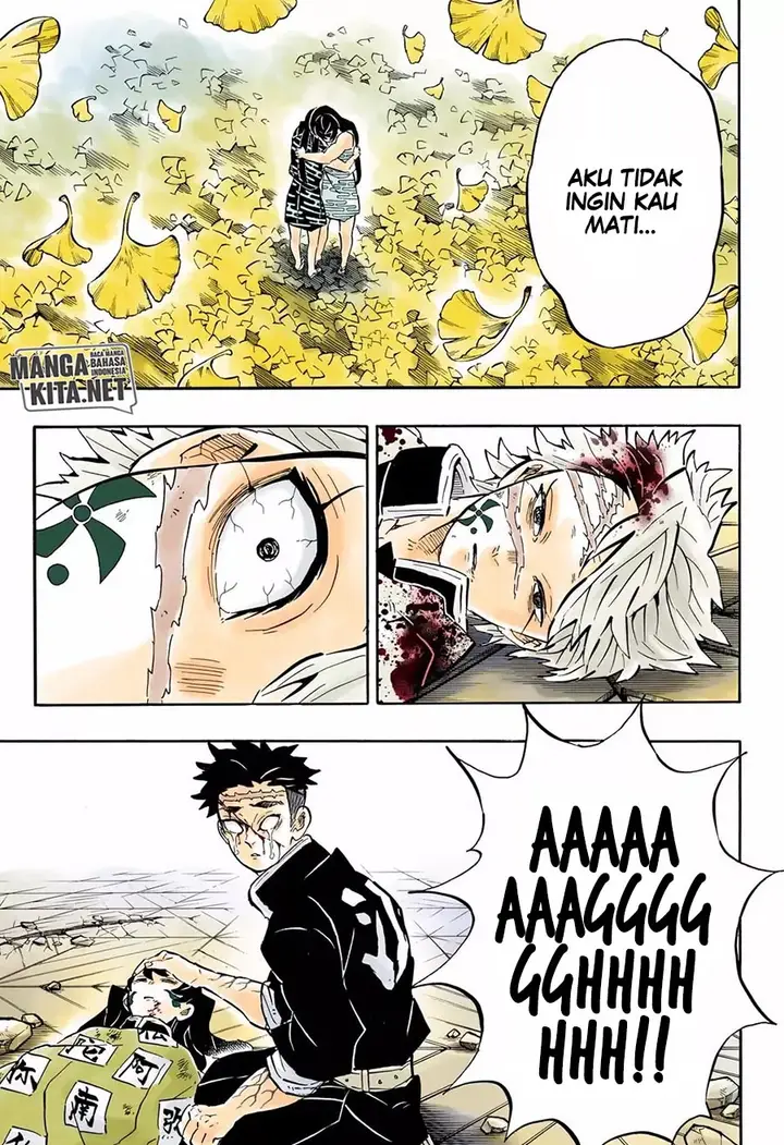 image-komik-kimetsu-no-yaiba-chapter-179.5-12/19