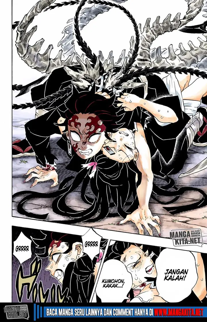 image-komik-kimetsu-no-yaiba-chapter-202.5-8/20