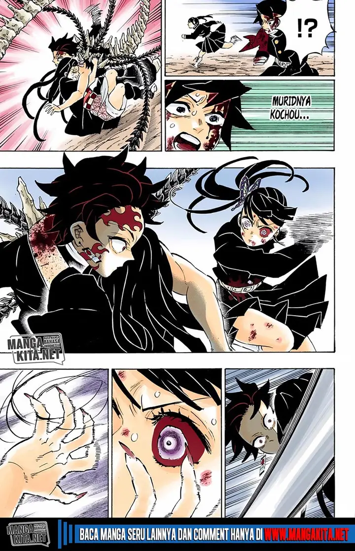 image-komik-kimetsu-no-yaiba-chapter-202.5-17/20