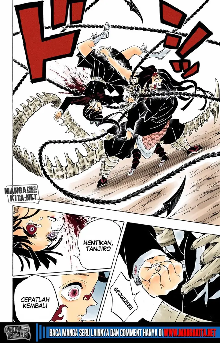 image-komik-kimetsu-no-yaiba-chapter-202.5-18/20