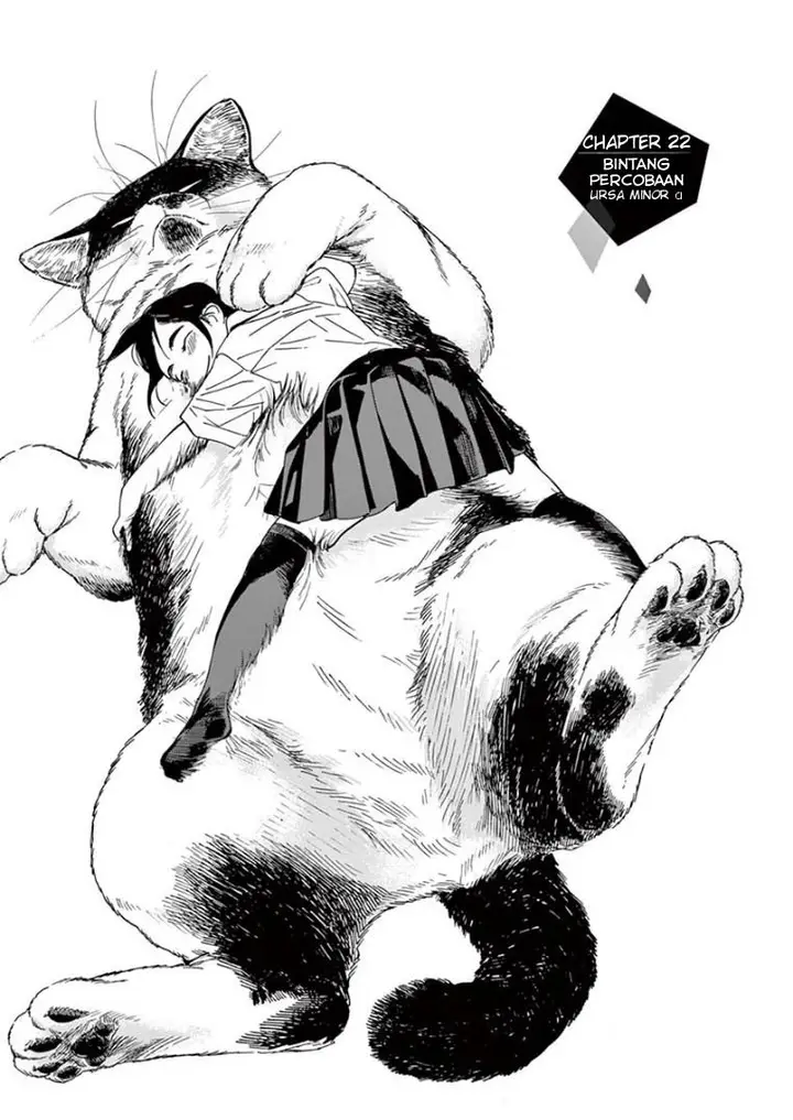 image-komik-kimi-wa-houkago-insomnia-chapter-22-0/21