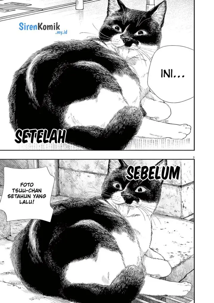 image-komik-kimi-wa-houkago-insomnia-chapter-92-3/22