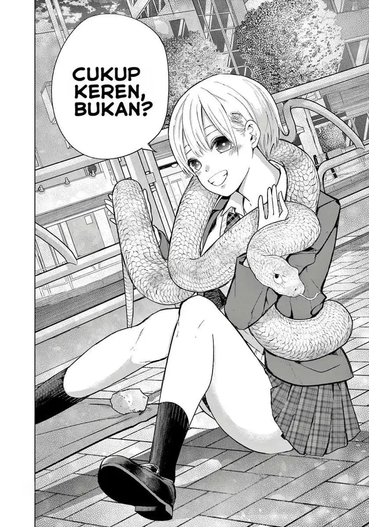 image-komik-koibami-shoujo-chapter-4-17/37