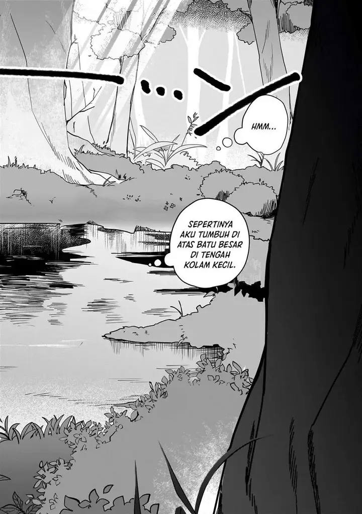 image-komik-koke-kara-hajimaru-isekai-life-chapter-1-14/23