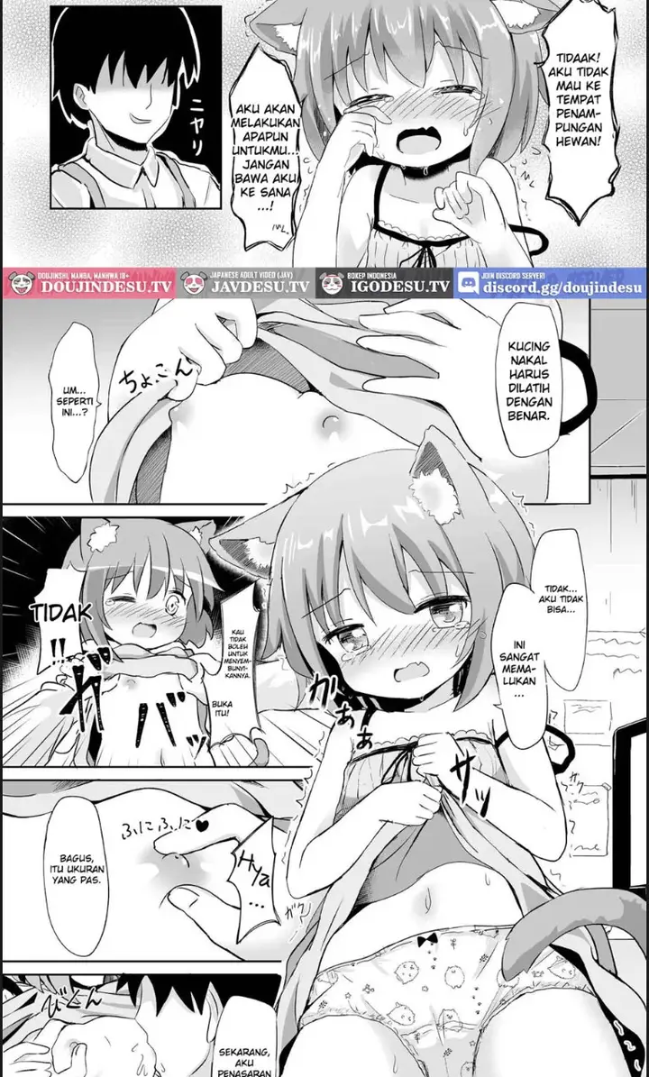 image-komik-koneko-chan-ha-tottemo-chapter-01-end-4/20