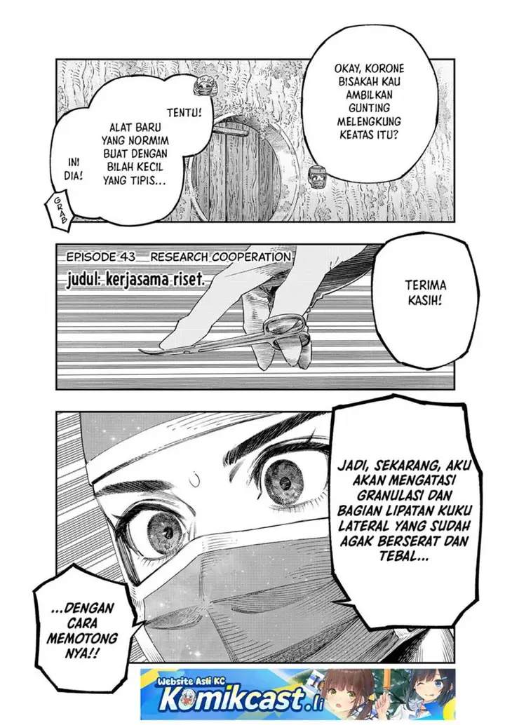 image-komik-koudou-ni-hattatsu-shita-igaku-wa-mahou-to-kubetsu-ga-tsukanai-chapter-43-2/44
