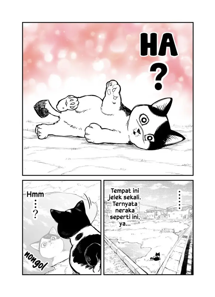 image-komik-kumicho-neko-ni-naru-chapter-1-2/4