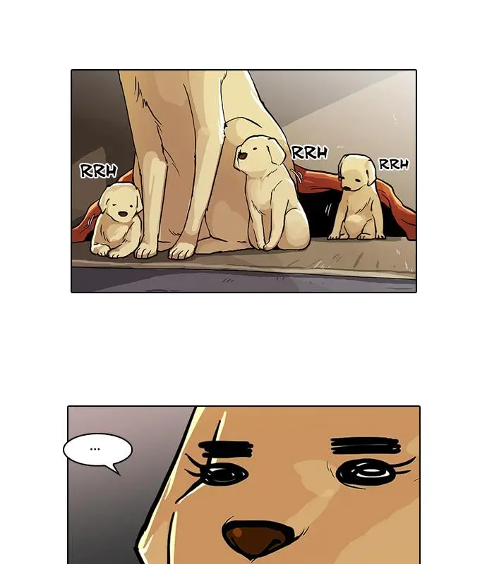 image-komik-lookism-chapter-62-53/80