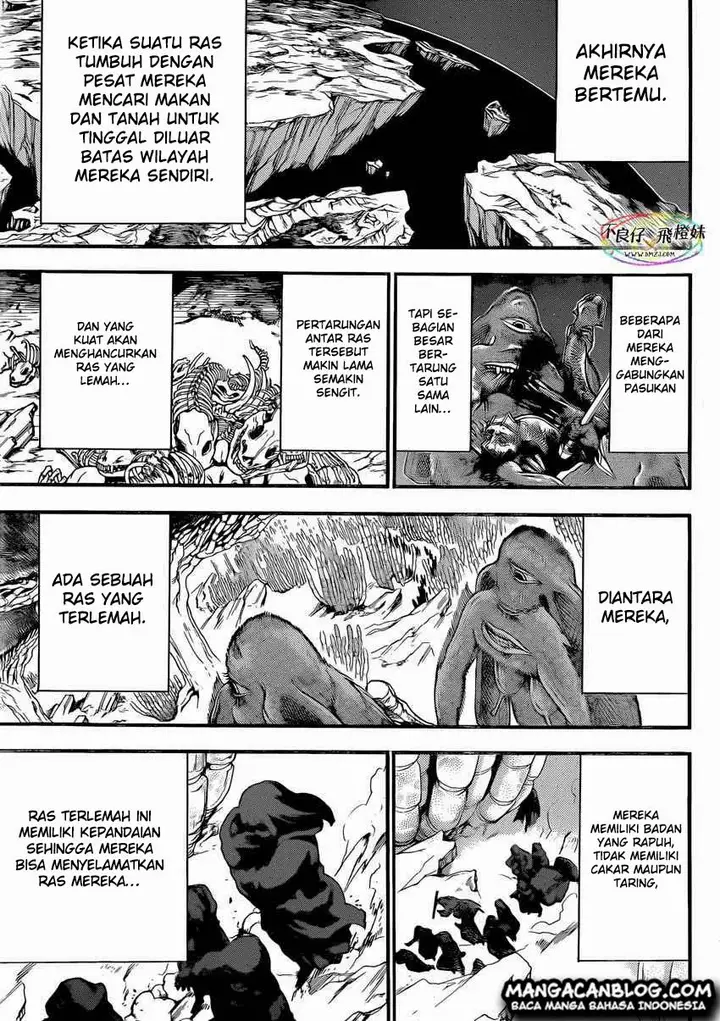 image-komik-magi-chapter-214-17/20