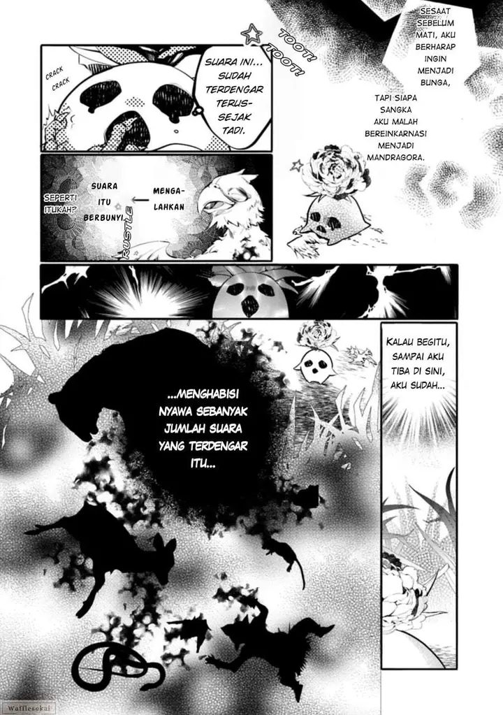 image-komik-mamono-mandragora-tte-baretara-toubatsu-desu-ka-chapter-1-12/44