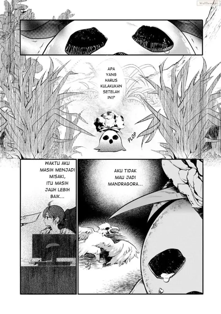 image-komik-mamono-mandragora-tte-baretara-toubatsu-desu-ka-chapter-1-13/44