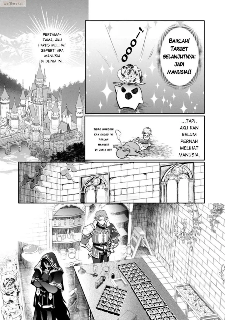 image-komik-mamono-mandragora-tte-baretara-toubatsu-desu-ka-chapter-1-20/44