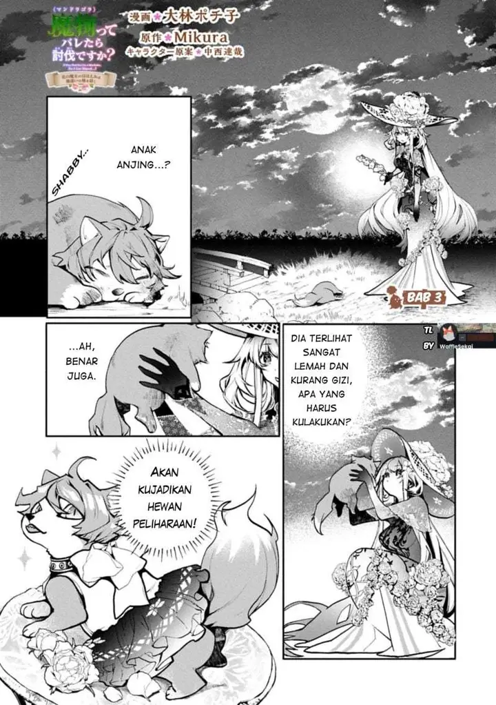 image-komik-mamono-mandragora-tte-baretara-toubatsu-desu-ka-chapter-3.1-1/21