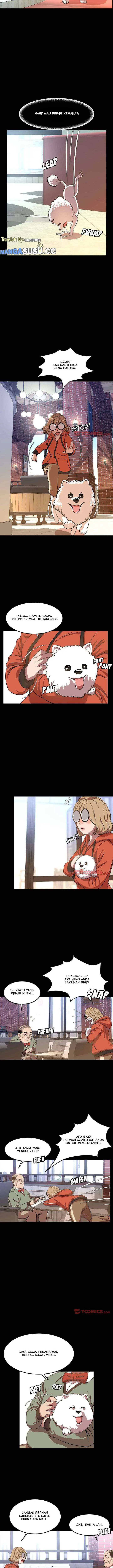 image-komik-manhwa-tonight-chapter-38-3/11