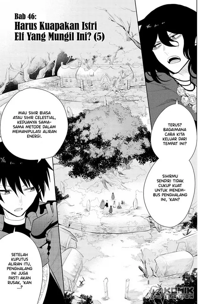 image-komik-maou-no-ore-ga-dorei-elf-wo-yome-ni-shitanda-ga-dou-medereba-ii-chapter-46-1/25