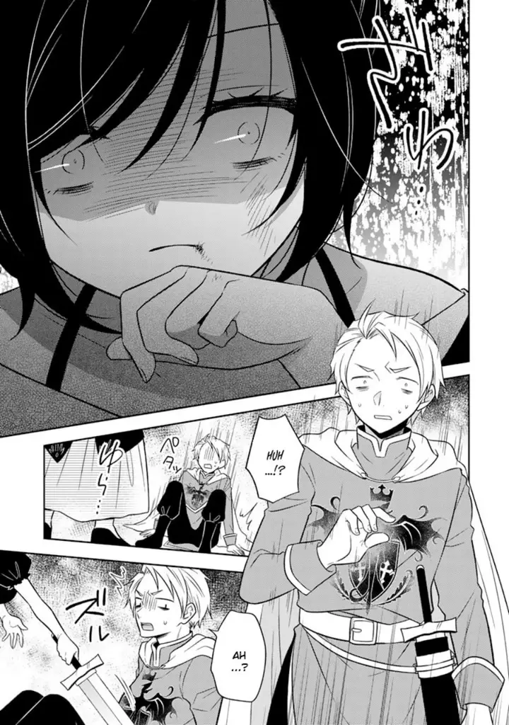 image-komik-moto-ansatsusha-tensei-shita-kizoku-no-reijou-ni-narimashita-chapter-8-7/26