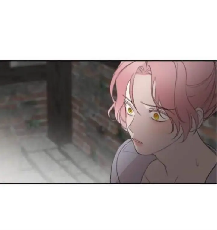 image-komik-my-in-laws-are-obsessed-with-me-chapter-24-47/85