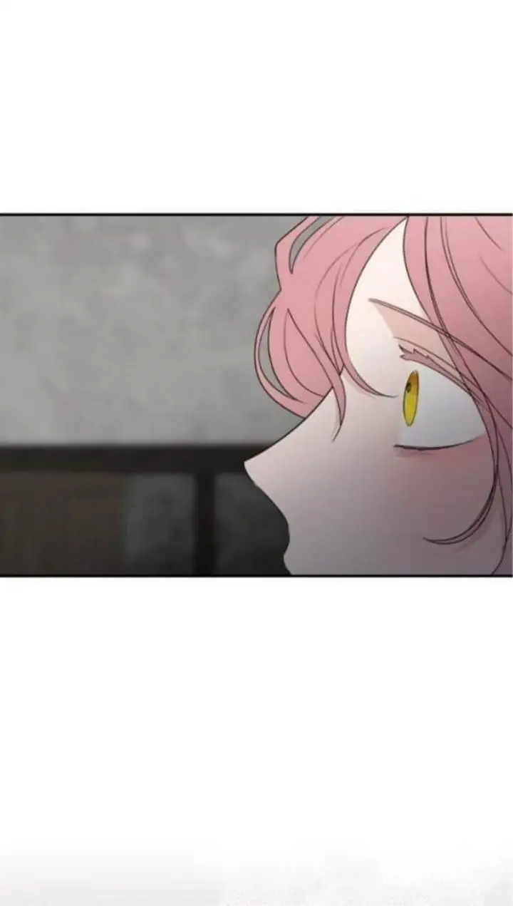 image-komik-my-in-laws-are-obsessed-with-me-chapter-24-58/85