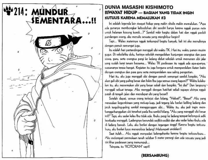 image-komik-naruto-chapter-214-0/10
