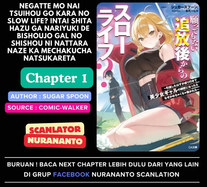 image-komik-negatte-mo-nai-tsuihou-go-kara-no-slow-life-intai-shita-hazu-ga-nariyuki-de-bishoujo-gal-no-shishou-ni-nattara-naze-ka-mechakucha-natsukareta-chapter-1-0/36
