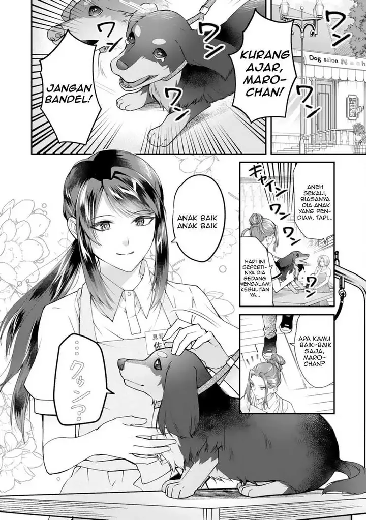 image-komik-neko-neko-youjo-no-aijou-gohan-isekai-de-mofumofu-tachi-ni-ryouri-wo-tsukurimasu-chapter-1-1/36