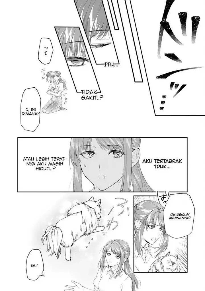 image-komik-neko-neko-youjo-no-aijou-gohan-isekai-de-mofumofu-tachi-ni-ryouri-wo-tsukurimasu-chapter-1-9/36